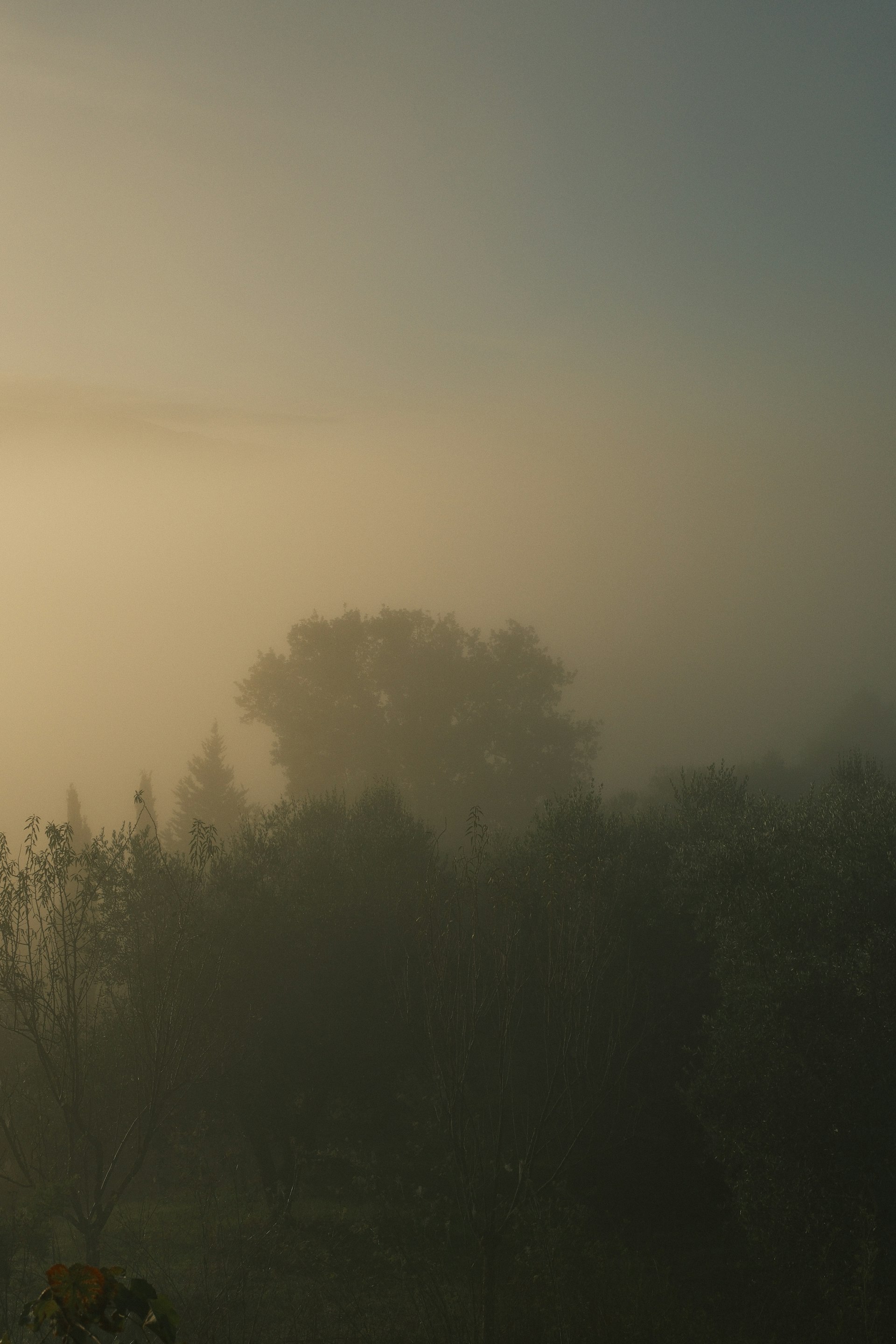 Massa Marittima Reisgids & Tips